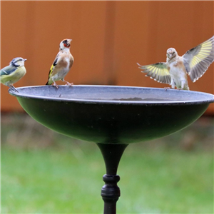 HB Heritage Bird Bath